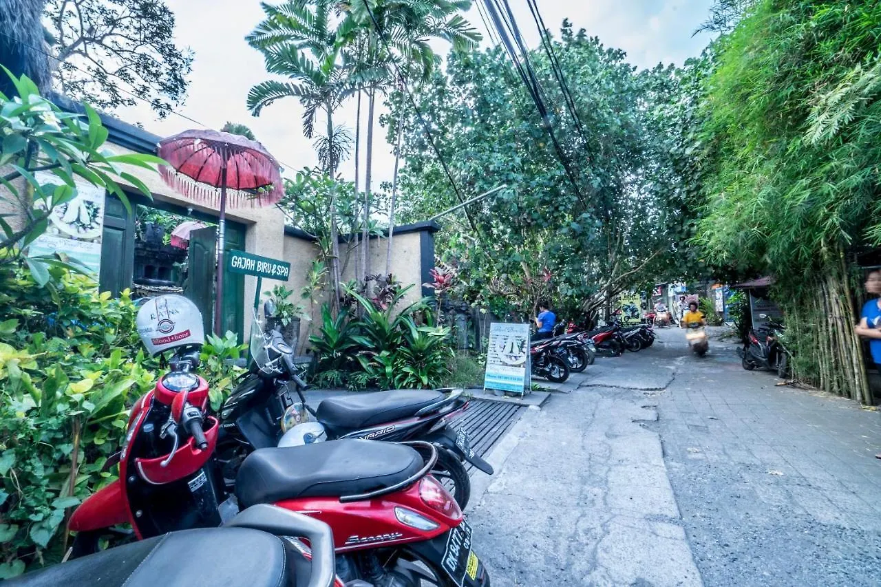 Gajah Biru Bungalows Ubud  Guest house